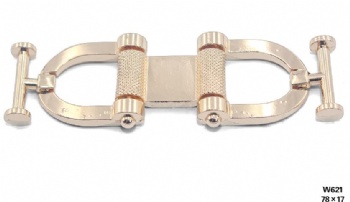 Light gold metal women shoes accessories